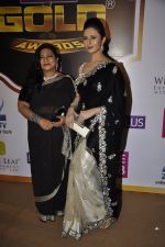 Divyanka Tripathi at Gold Awards red carpet in Filmistan, Mumbai on 17th May 2014